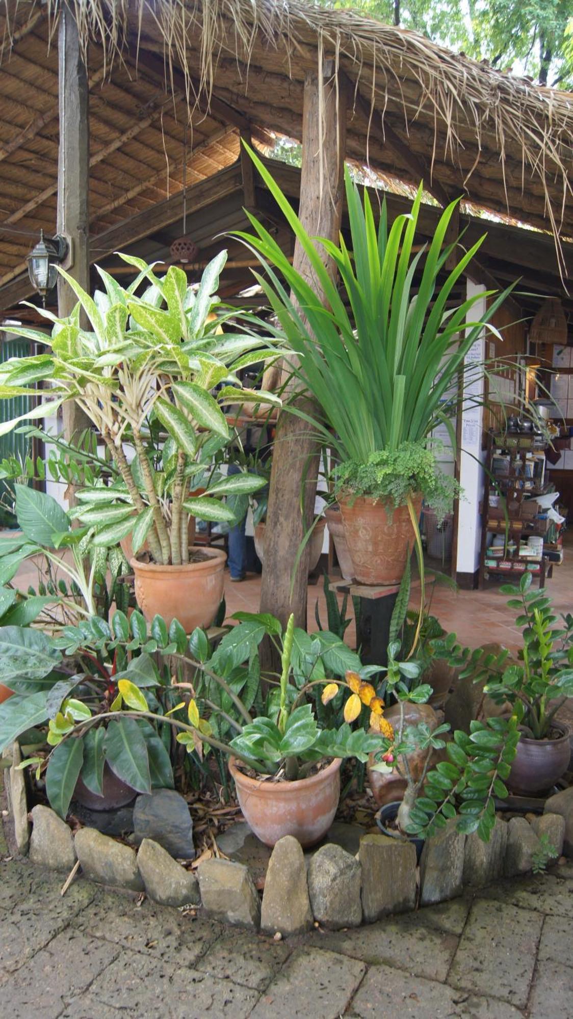 Mut Mee Garden Guest House نونغ خاي المظهر الخارجي الصورة