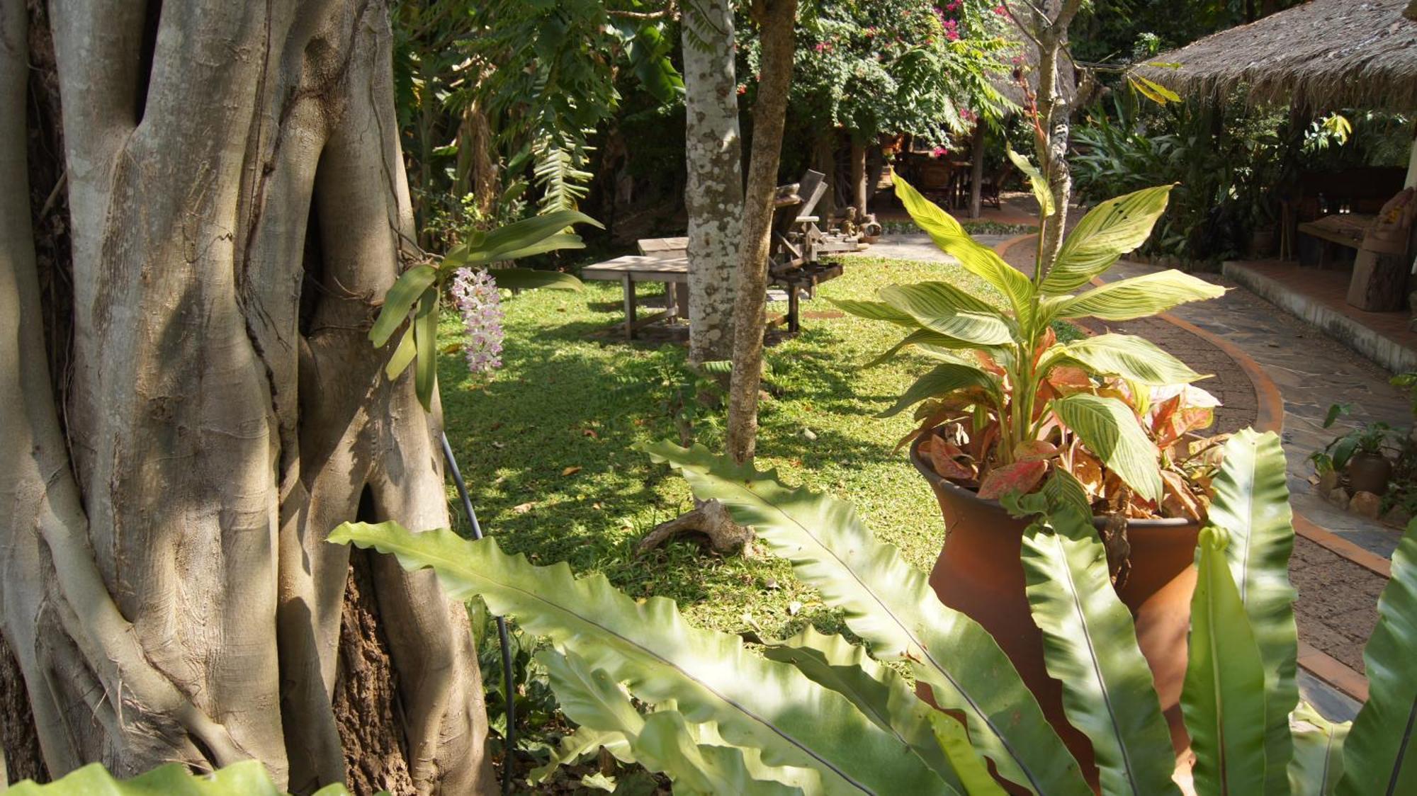 Mut Mee Garden Guest House نونغ خاي المظهر الخارجي الصورة