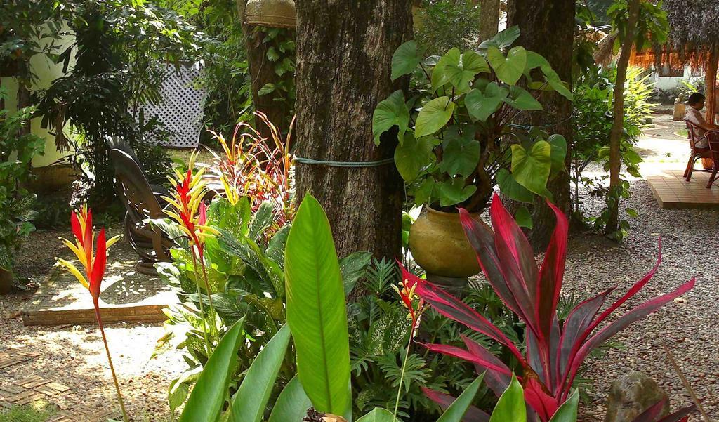 Mut Mee Garden Guest House نونغ خاي المظهر الخارجي الصورة